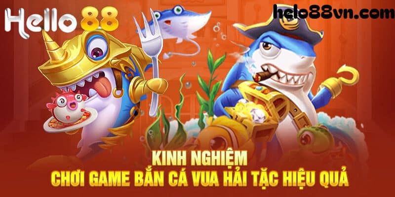 Bí quyết săn thưởng khủng tại cổng game bắn cá vua hải tặc Hello88