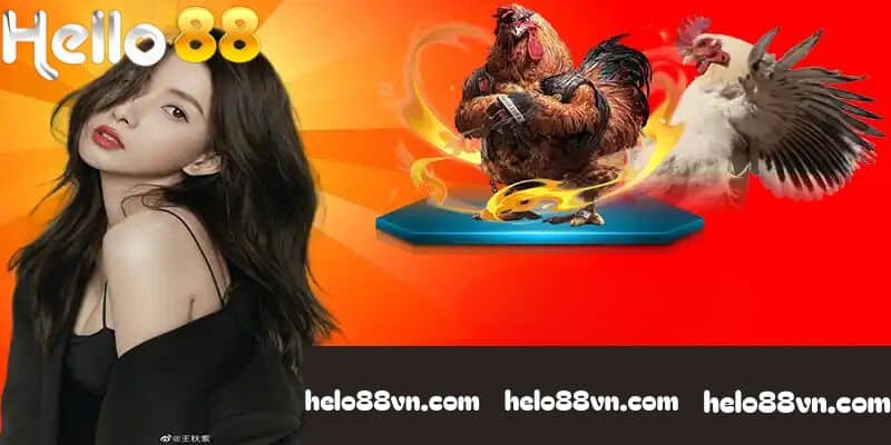 Điểm mặt các hình thức đá gà online cực cuốn tại cổng game Hello88