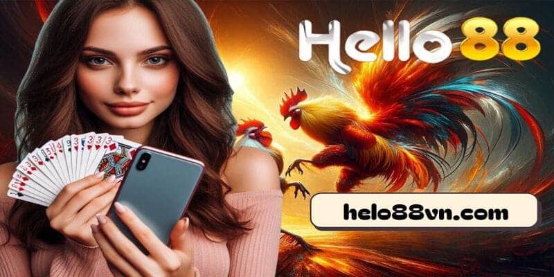 Khái quát về đá gà Thomo C1 siêu đẳng cấp tại nền tảng uy tín Hello88