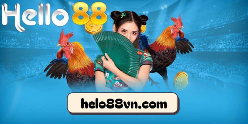 Những thông tin sơ bộ về sảnh đá gà Thomo tại nhà cái Hello88